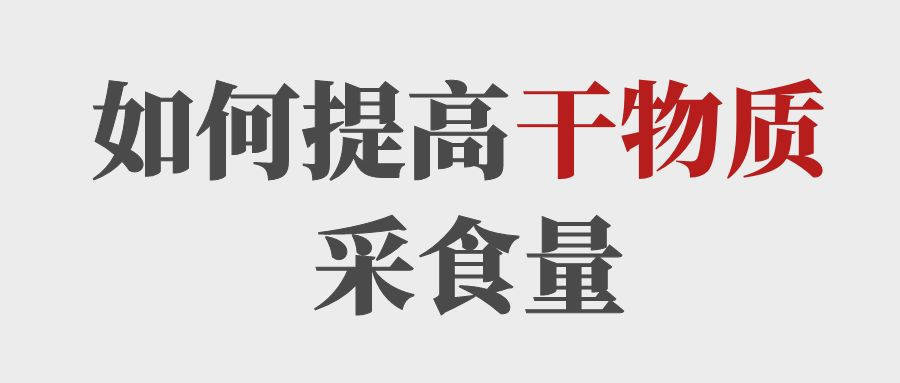 做到這5點提高育肥牛的干物質(zhì)采食量！